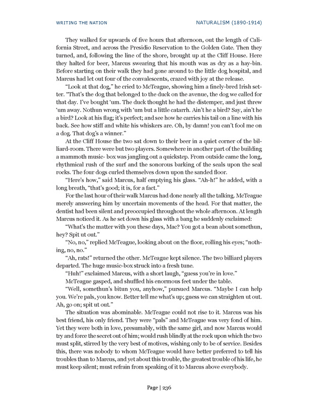 Writing the Nation - Page 236